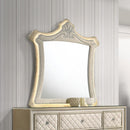 Acme Furniture Lucienne BD02337 Mirror with LED IMAGE 1