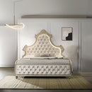 Acme Furniture Lucienne BD02335Q Queen Bed with LED IMAGE 1