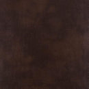 Furniture of America Pollux CM6981BR-LV Love Seat IMAGE 3