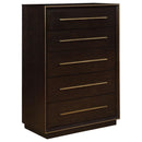 Coaster Furniture Durango 223265 Drawer Chest IMAGE 1