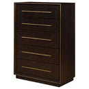 Coaster Furniture Durango 223265 Drawer Chest IMAGE 3