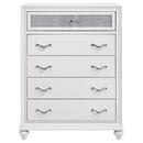 Coaster Furniture Brazini 205895 Drawer Chest IMAGE 2