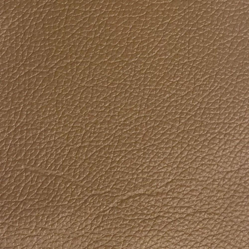 Acme Furniture Radwan 54957 Chair - Camel IMAGE 4