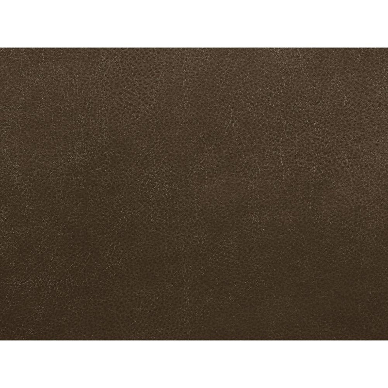 Acme Furniture Aashi 55423 Power Motion Recliner - Brown IMAGE 4