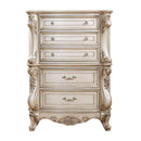 Acme Furniture Gorsedd 27446 Chest IMAGE 1