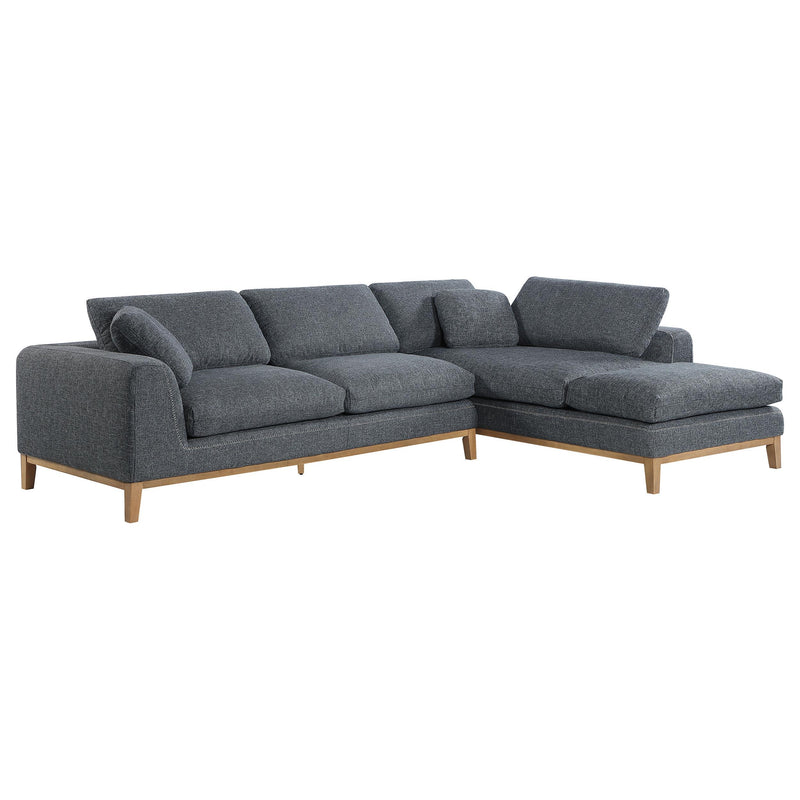 Coaster Furniture Persia 508857 2 pc Sectional IMAGE 1