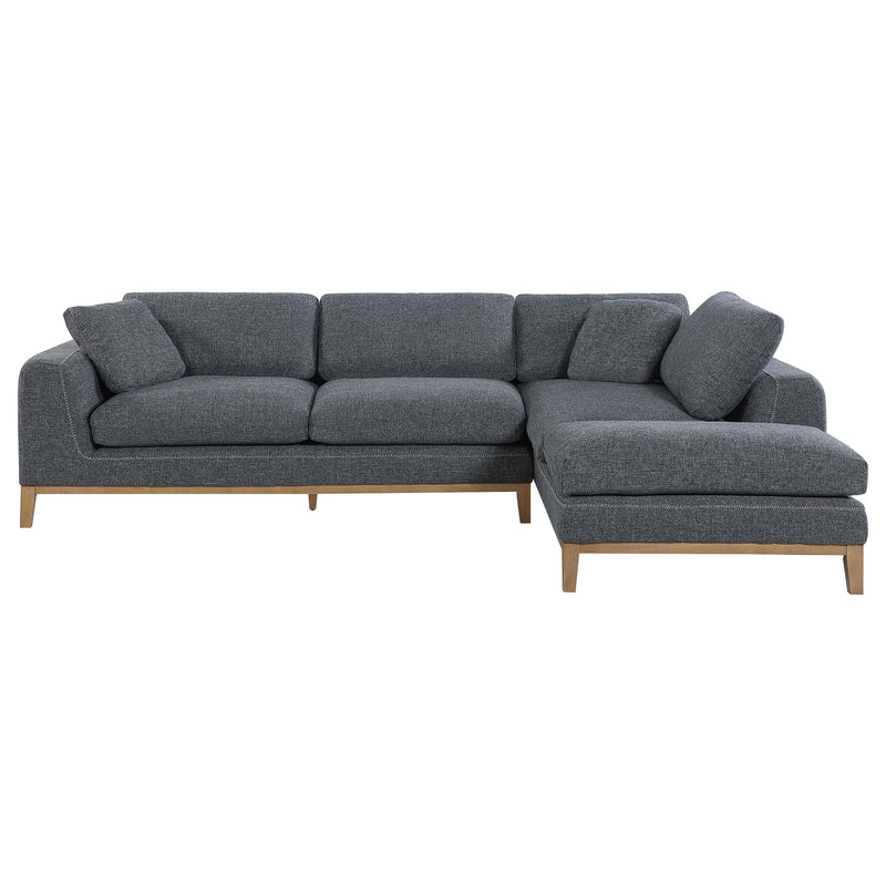 Coaster Furniture Persia 508857 2 pc Sectional IMAGE 2