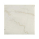 Acme Furniture Telestis 84502 End Table - White & Black IMAGE 3