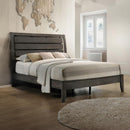 Acme Furniture Ilana 28470Q Queen Bed - Grey IMAGE 1
