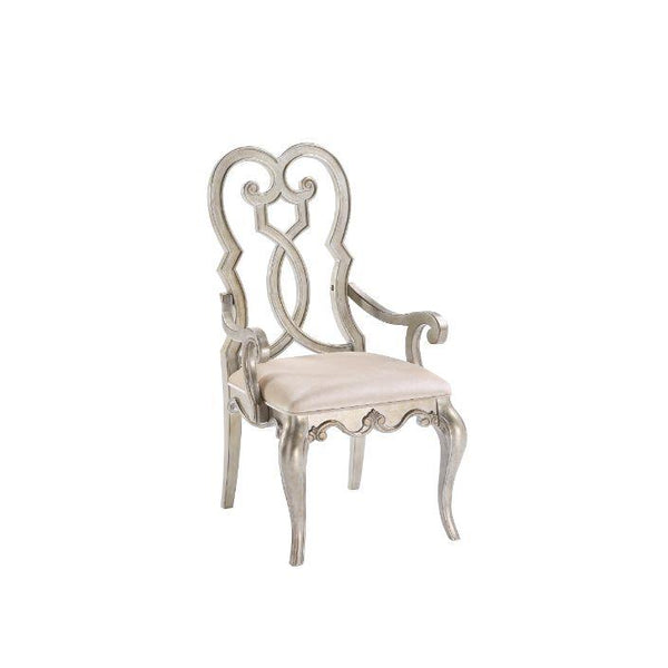 Acme Furniture Esteban 62203 Arm Chair IMAGE 1