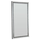 Acme Furniture Noralie 97600 Floor Mirror IMAGE 2
