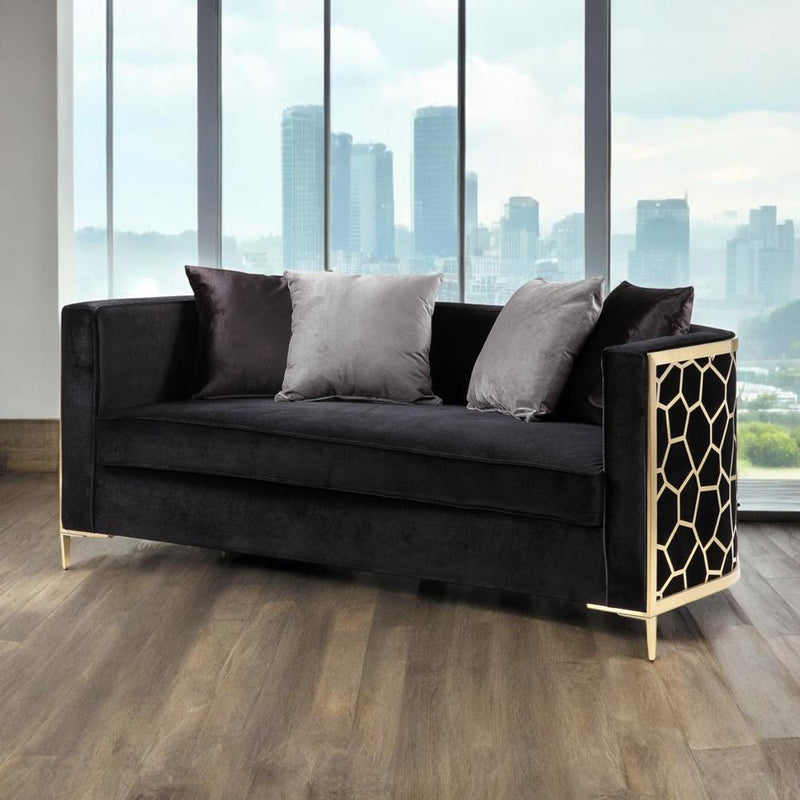 Acme Furniture Fergal 55666 Loveseat IMAGE 3