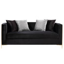 Acme Furniture Fergal 55666 Loveseat IMAGE 5