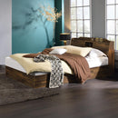 Acme Furniture Hestia BD00542Q Queen Bed IMAGE 1