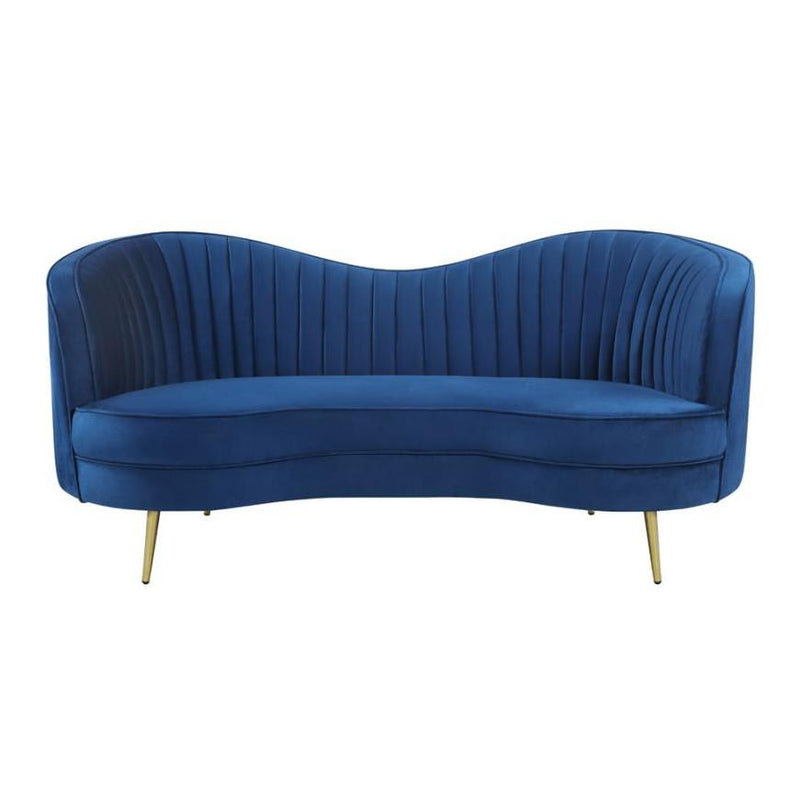 Coaster Furniture Sophia 506862 Loveseat - Blue IMAGE 2