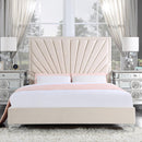 Acme Furniture Faiz BD00957Q Queen Bed IMAGE 1