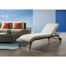 Acme Furniture Salena OT01094 Patio Sun Lounge IMAGE 1