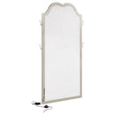 Coaster Furniture 223400 Floor Mirror IMAGE 6