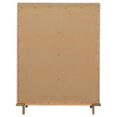 Coaster Furniture Arini 224305 5-Drawer Chest - Sand Wash IMAGE 6