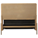 Coaster Furniture Arinia 224300Q Upholstered Queen Panel Bed - Sand Wash/Natural Cane IMAGE 9