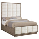 Coaster Furniture Durango 223271Q 80-inch Queen Panel Bed - Taupe Oak IMAGE 3