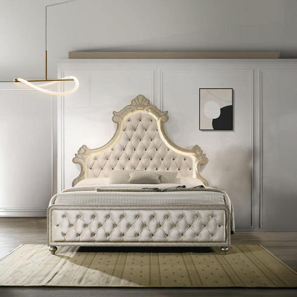 Acme Furniture Lucienne BD02335Q Queen Bed with LED IMAGE 1