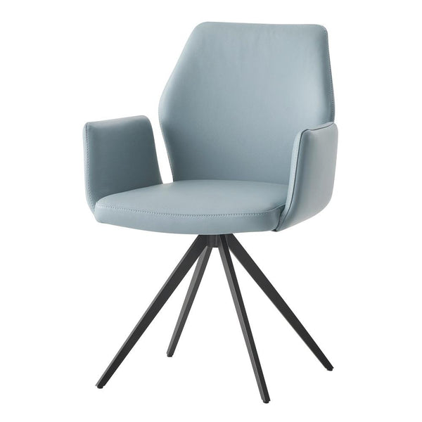 Acme Furniture Segismunda DN02403 Arm Chair with Swivel IMAGE 1