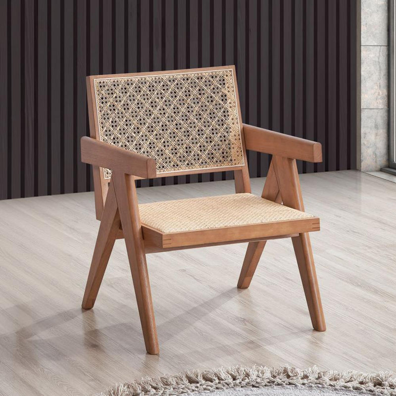 Acme Furniture Velentina AC02375 Accent Chair IMAGE 1