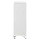 Acme Furniture Tarian BD02321 Chest IMAGE 3