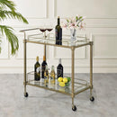 Acme Furniture ADITYA AC02597 Serving CART IMAGE 1
