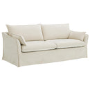 Acme Furniture Shane LV02910 Sofa with 2 Pillows IMAGE 2