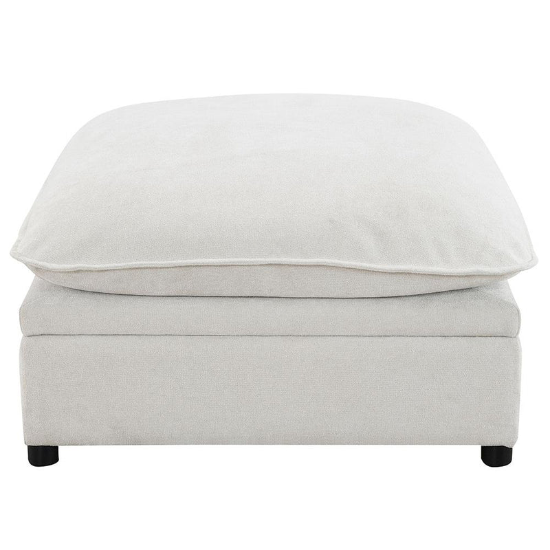 Acme Furniture Marisa Fabric Storage Ottoman LV04415 IMAGE 3