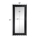Acme Furniture Dara Floorstanding Mirror AC03021 IMAGE 4